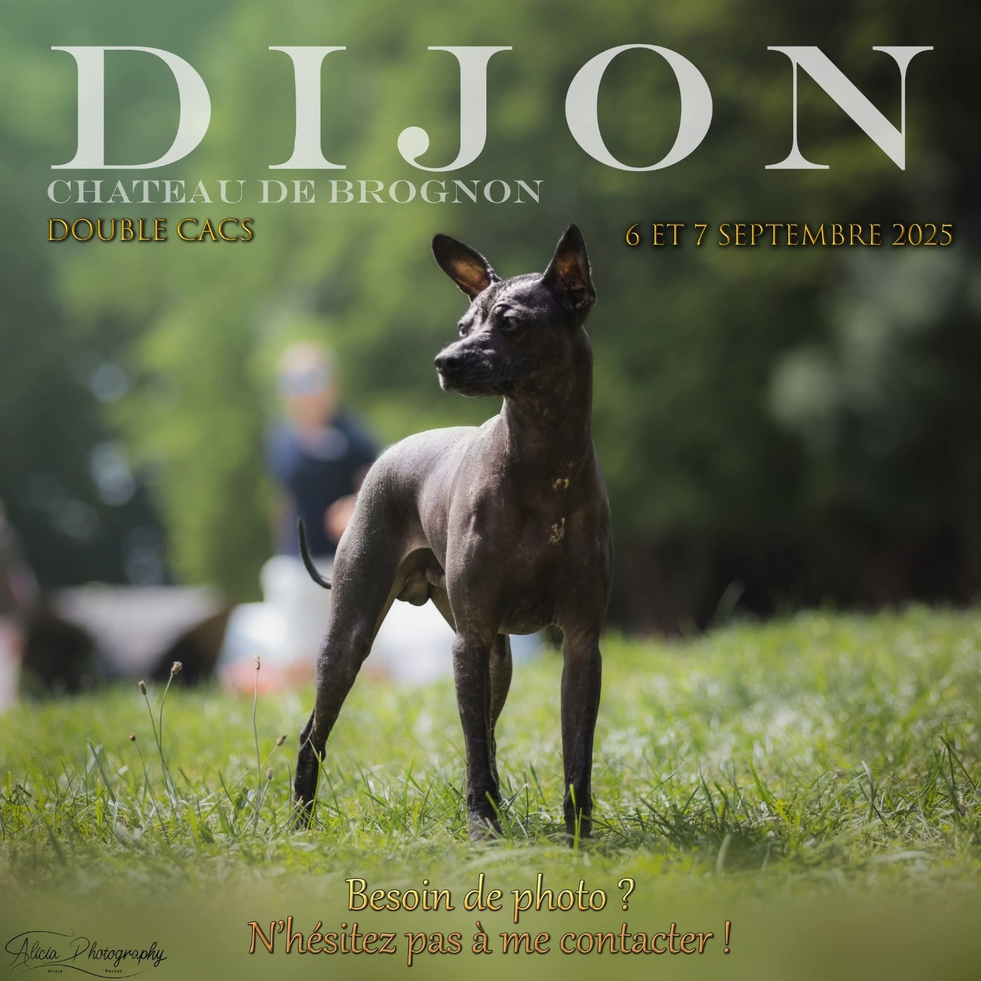 Uzzah des Xolos du Mictlan